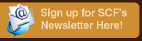 Newsletter Sign Up Icon